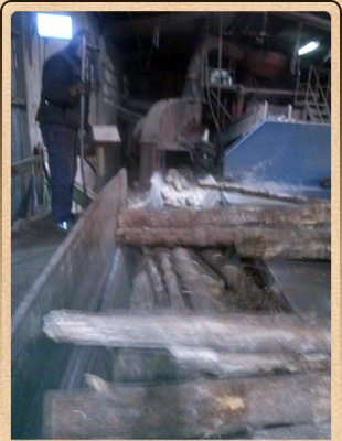 Astilladora Riojana maderas para fábricas de papel