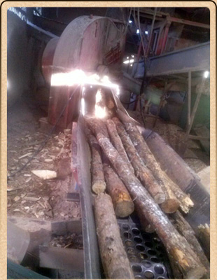 Astilladora Riojana maderas para fábricas de tableros